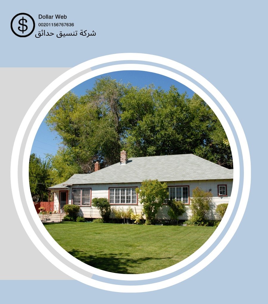 تنسيق حدائق حي الوادي الرياض
